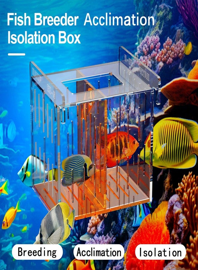 ONE BAYJF Fish Breeder Isolation Box for Aquarium Tank,Transparent Orange Acrylic Fish Acclimation Box for Clownfish Guppy Betta Coral (S) - Image 2